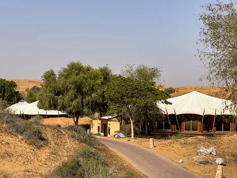 阿联酋丽思卡尔顿,阿联酋野奢帐篷