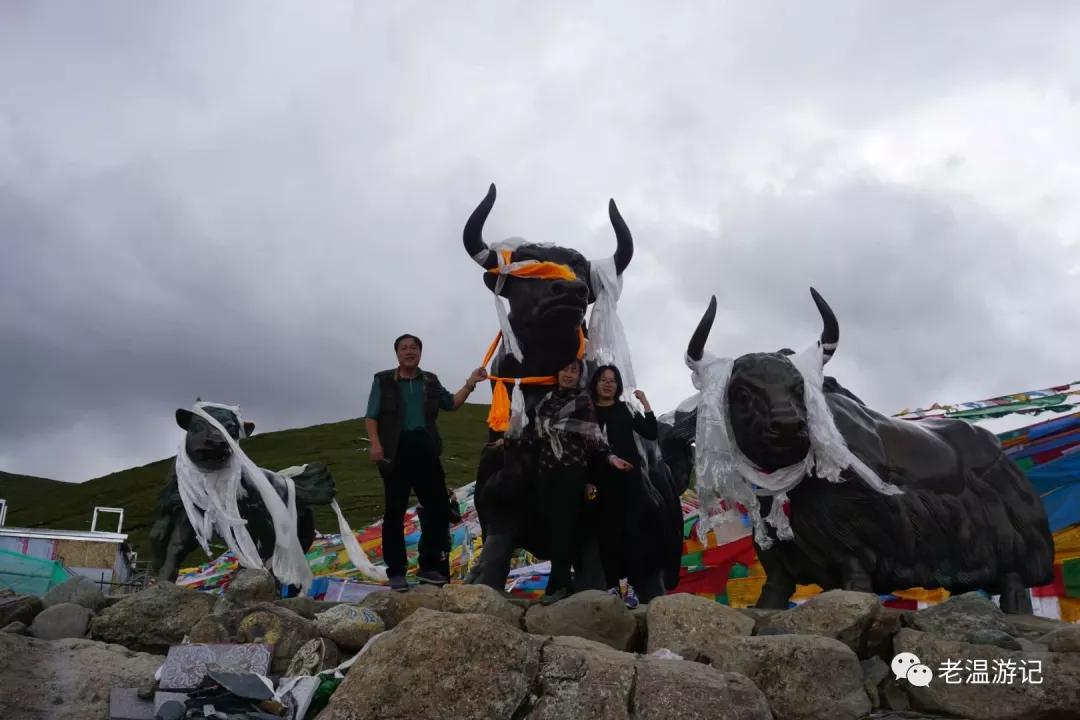 *藏西**行九点观感