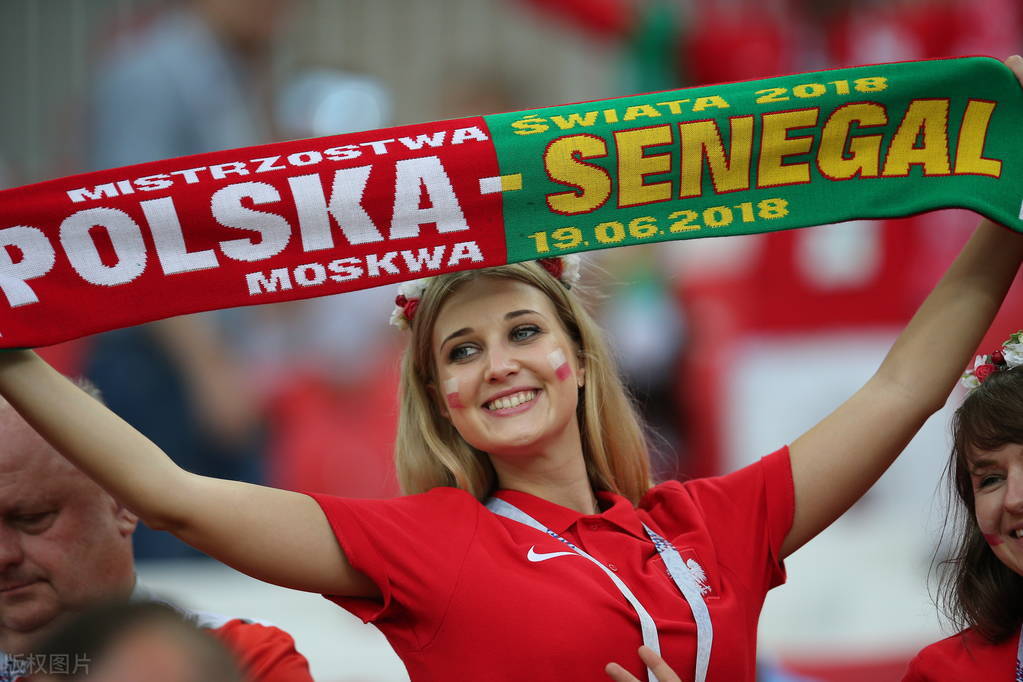 2022年世界杯32强巡礼之非洲篇