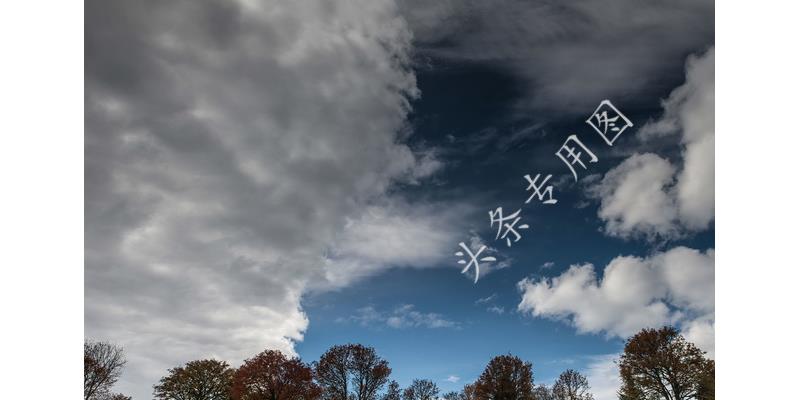 结婚13天妻子竟怀孕40天,新婚14天妻子被查出怀孕三个月