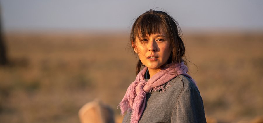 山河锦绣演员演技好,山河锦绣演员表现