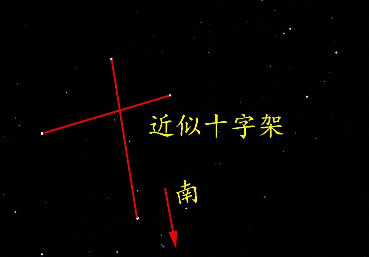 辨认方向的办法,通过树叶辨认方向