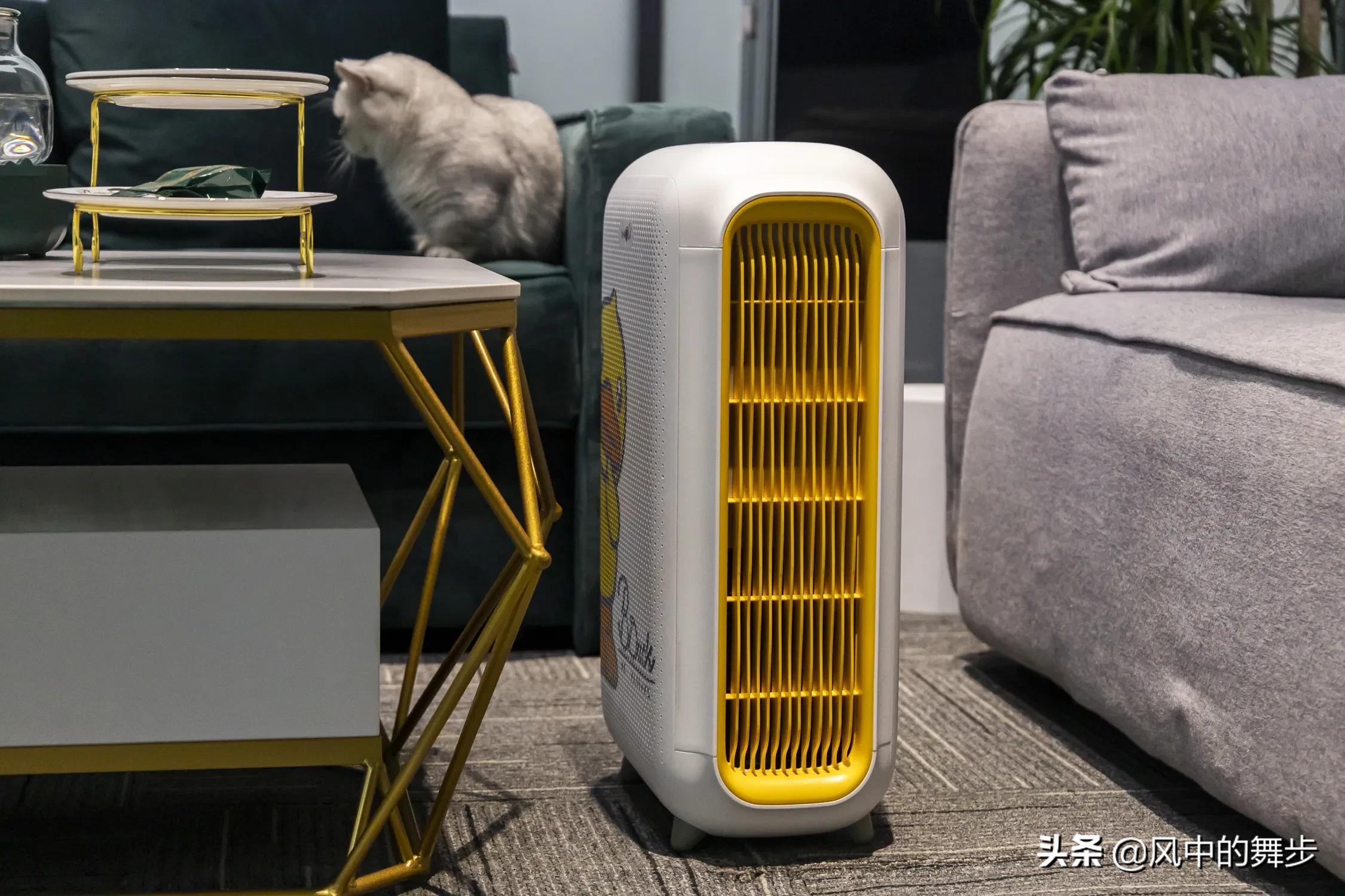 猫猫总是乱尿怎么办,猫猫乱尿该不该把猫猫放阳台