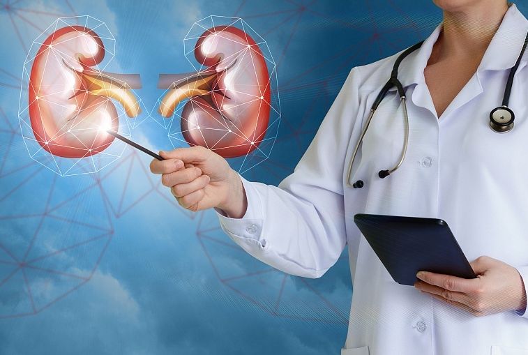 判断肾病严重程度的几个指标,为什么iga肾病儿童预后好