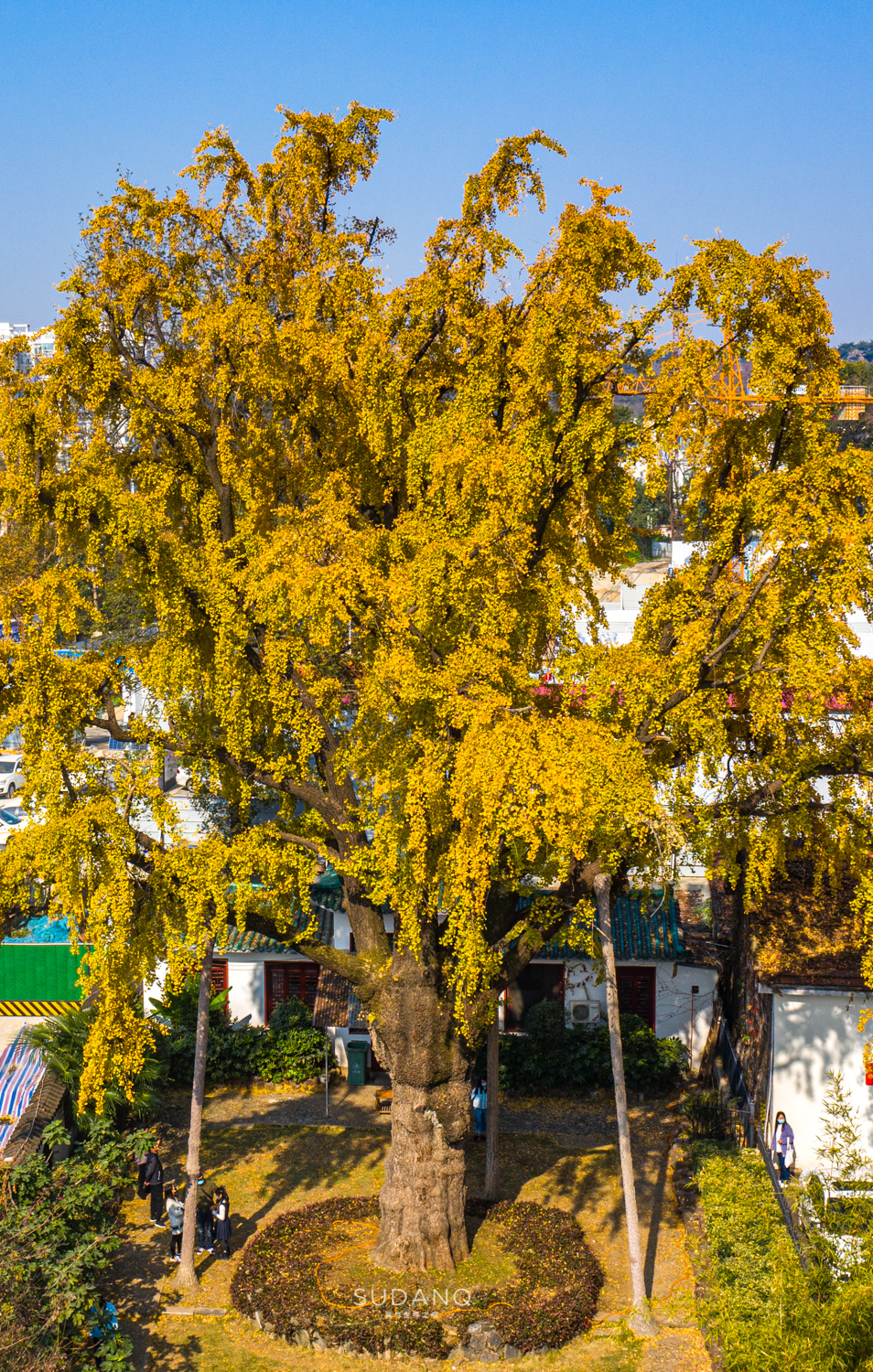 大自然塑造了我,大自然塑造者