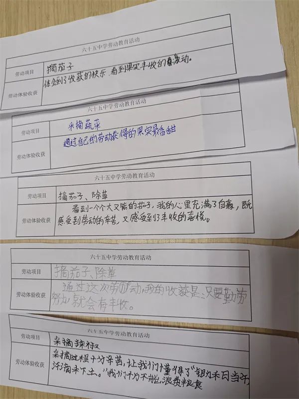 「重庆市六十五中学」劳动砺心志，实践促成长
