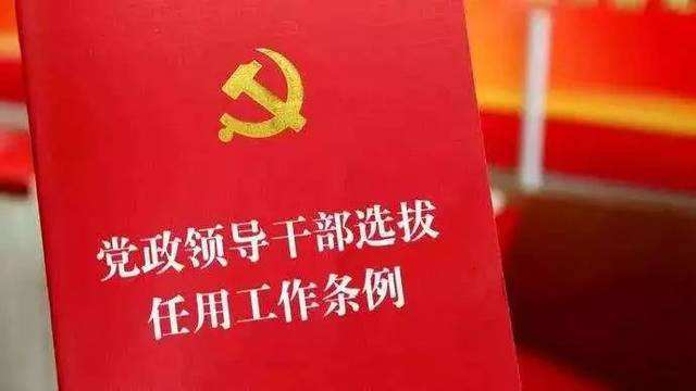 中国矿产资源集团是什么级别,中国矿产资源集团是央企吗