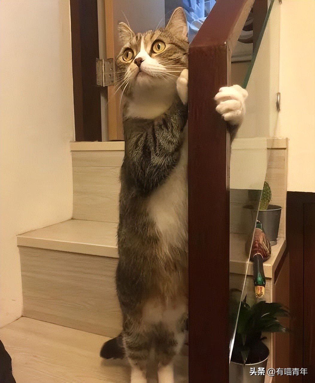 鑷粠鍏讳簡鐚氨鍐嶄篃娌℃湁涔拌繃琛ｆ湇,鑷粠鍏讳簡鐚氨娌＄粰鑷繁涔拌繃闆堕