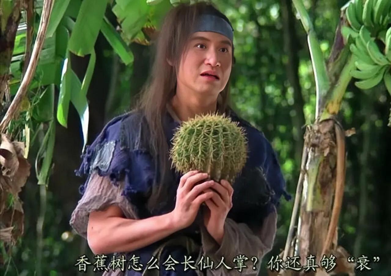 张学友为什么劝刘嘉玲别出唱片,张学友拒绝再玩