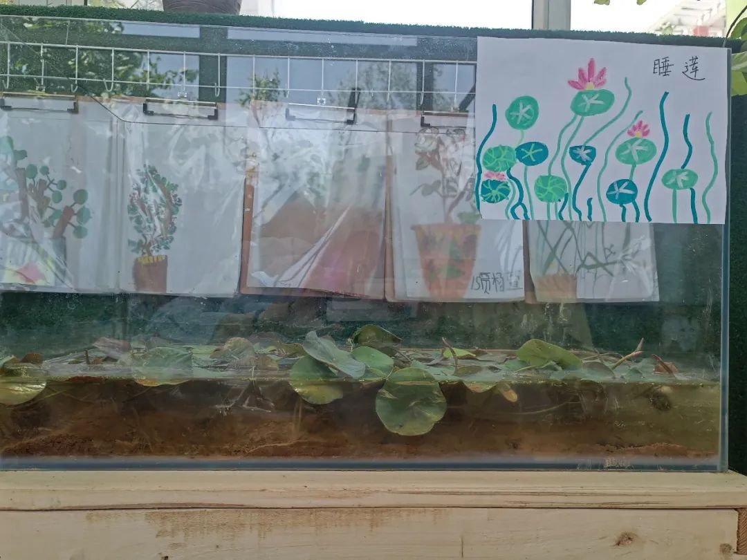 倾听儿童相伴成长主题墙幼儿园,倾听儿童相伴成长幼儿园小班视频