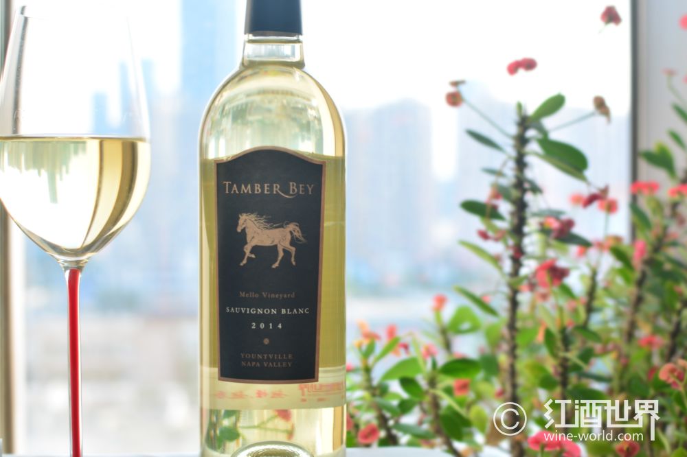 选酒指南电子版,十大平民入门级葡萄酒