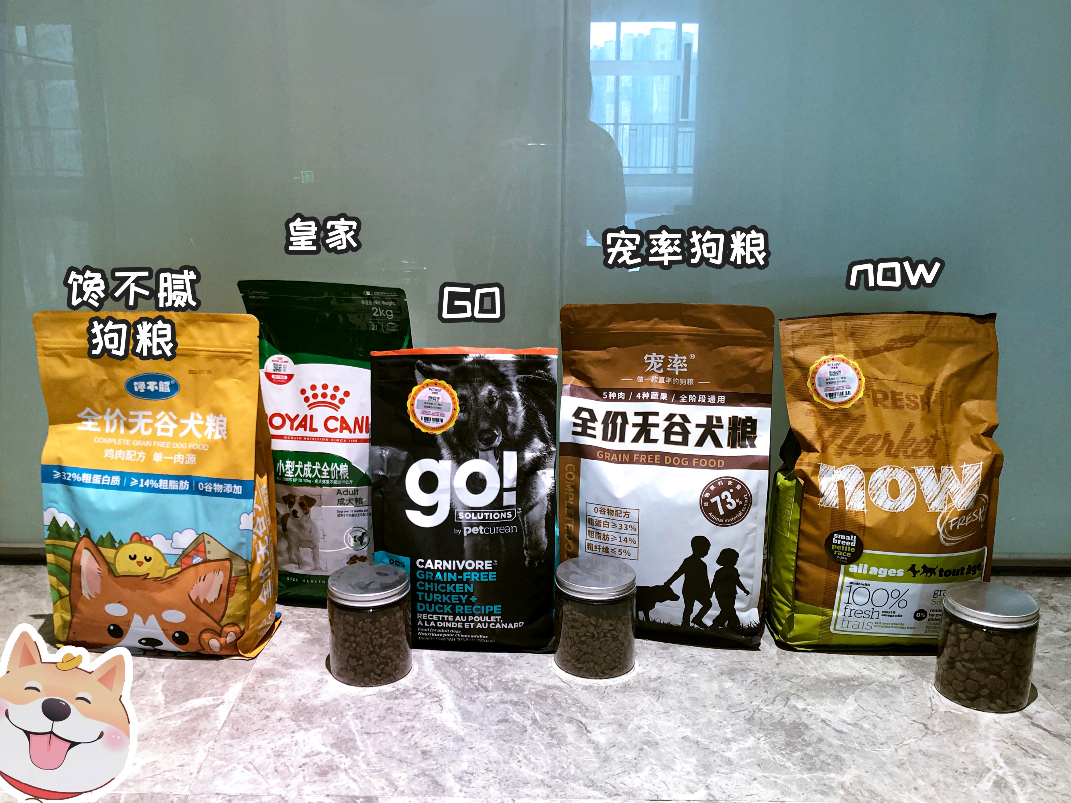 狗狗经常喝粥好吗,狗狗经常喝茶水好吗