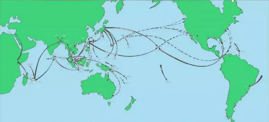 非洲大蜗牛入侵美国，每年可产5窝，花费数百万美元没法治理