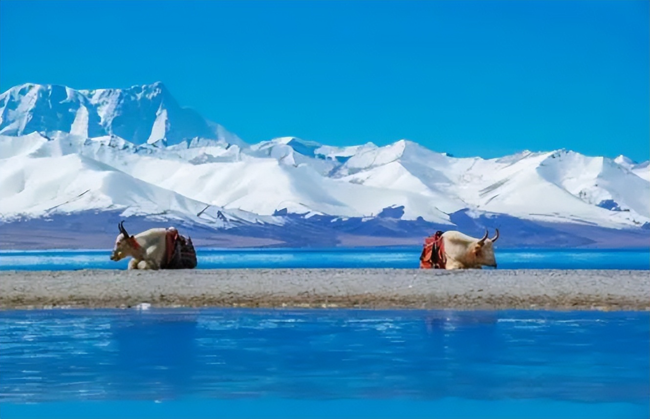 纳木错让人窒息的美,纳木错真的美到失语