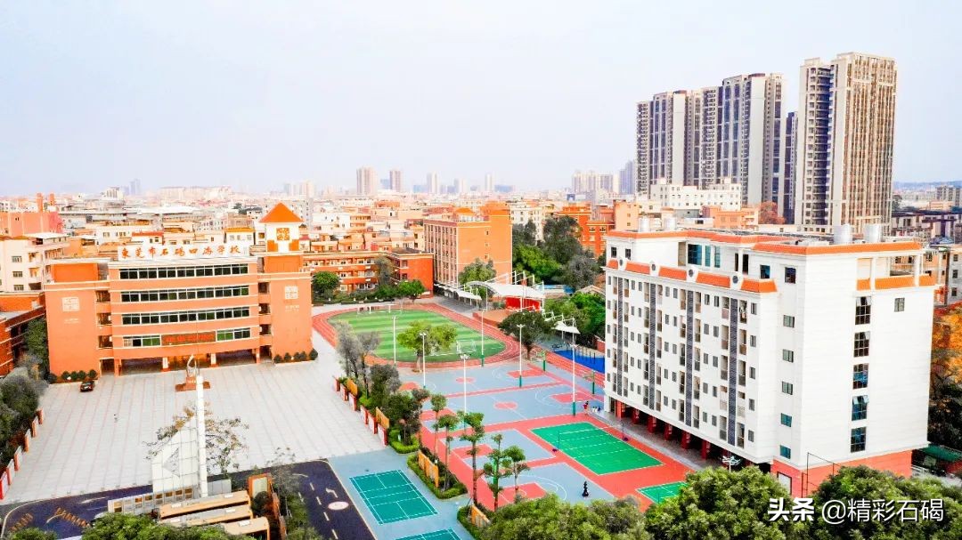 石碣四海学校招生简章,石排四海学校招生