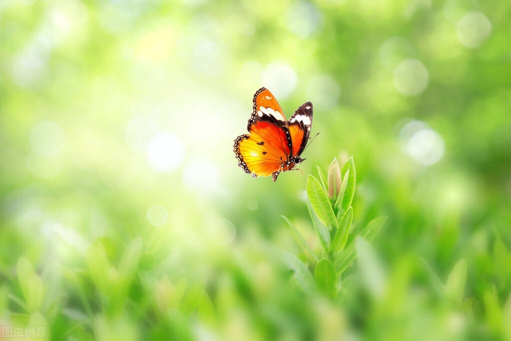 我活着了,我活着原版