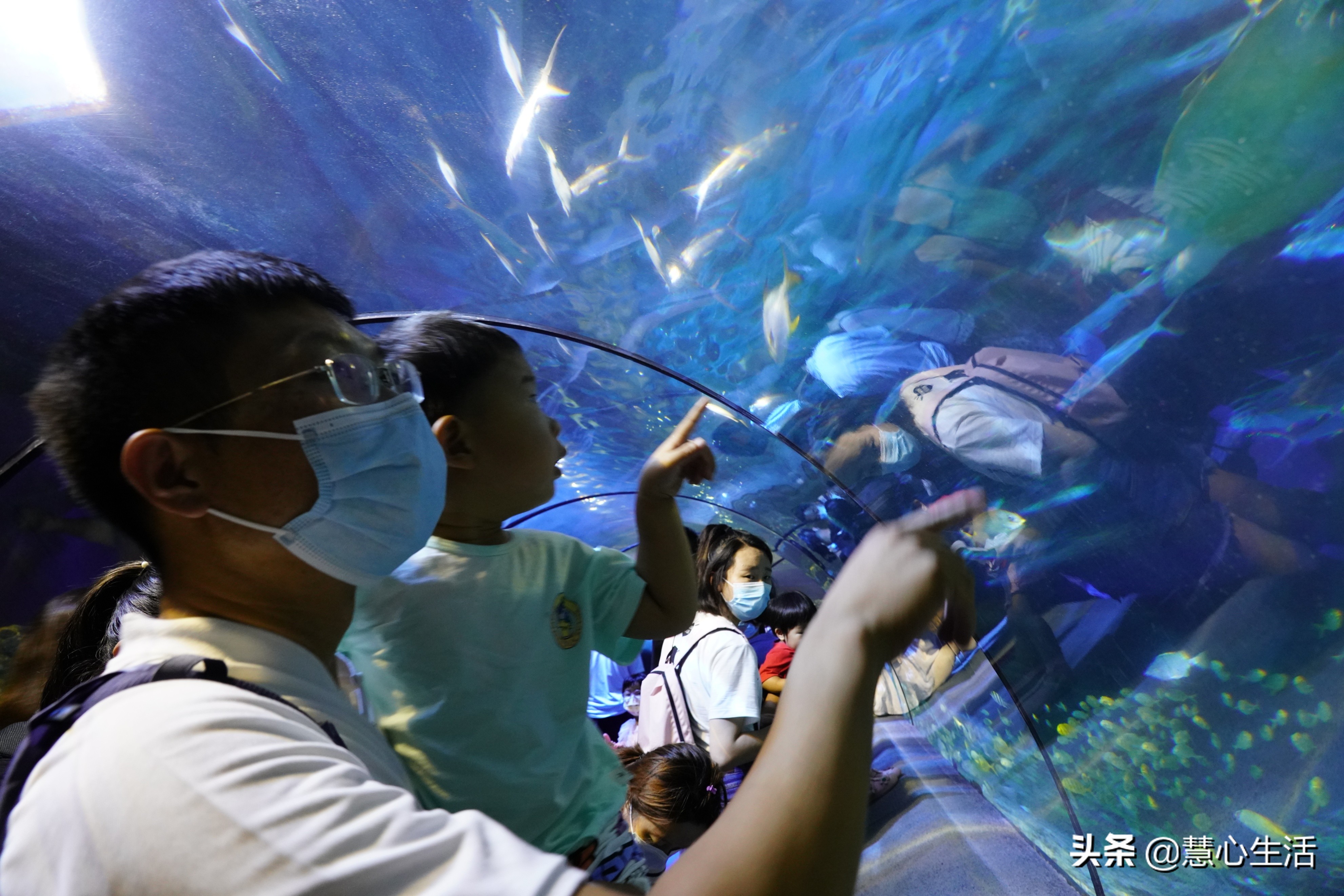 带宝宝出去看海底世界,北京太平洋海底世界预约