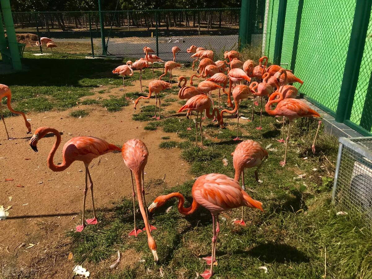 2022年春节秦皇岛免费景点一览表,秦皇岛必游十大景点