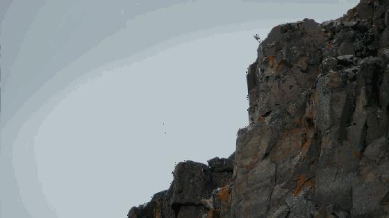 孩子暑期提高英语电影,适合孩子提高英语看的电影