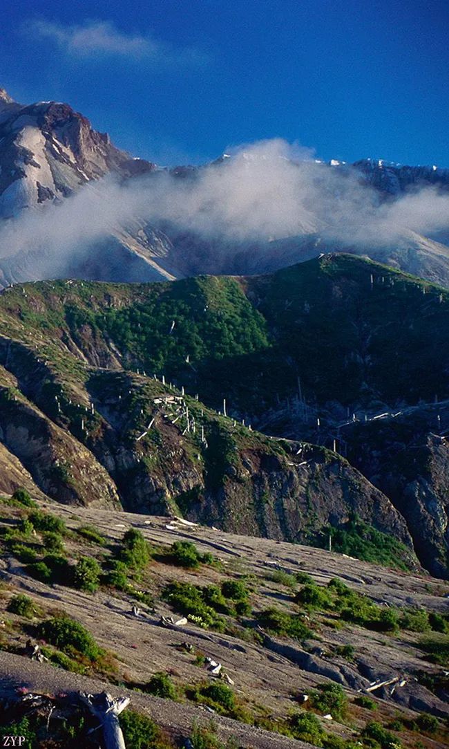 太美了100张人间美照,太美了最美中国红