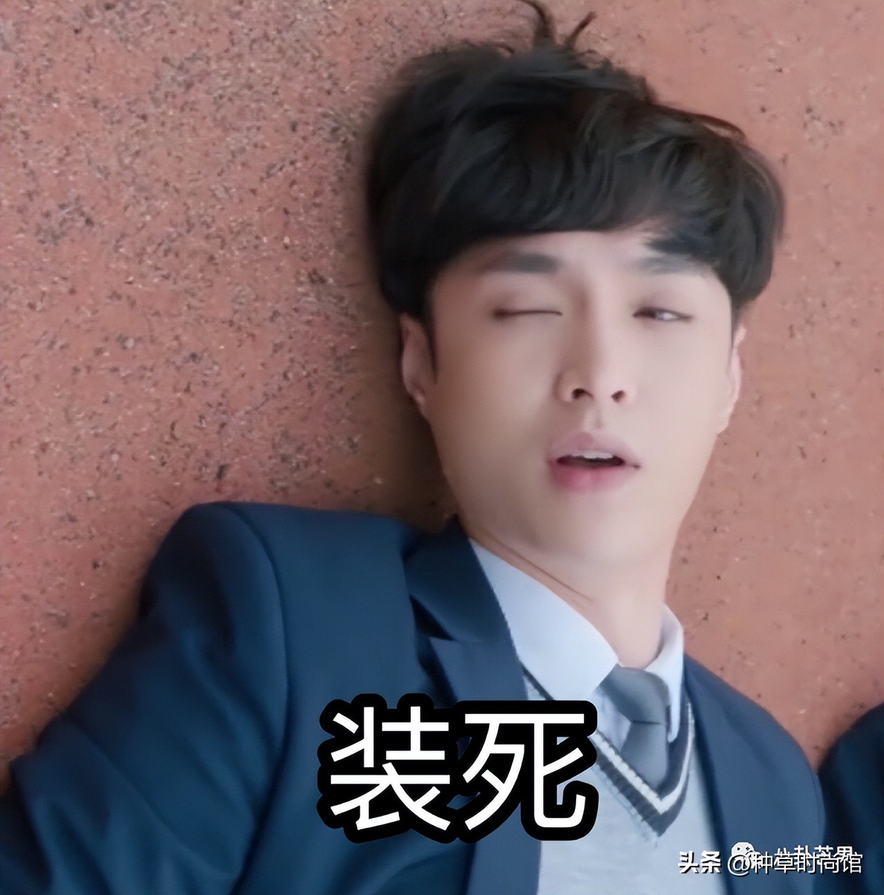 男人帮哥哥惊讶张艺兴粉丝,张艺兴被粉丝调戏惊呆