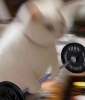 C罗体脂率7%,c罗的体脂率有多厉害