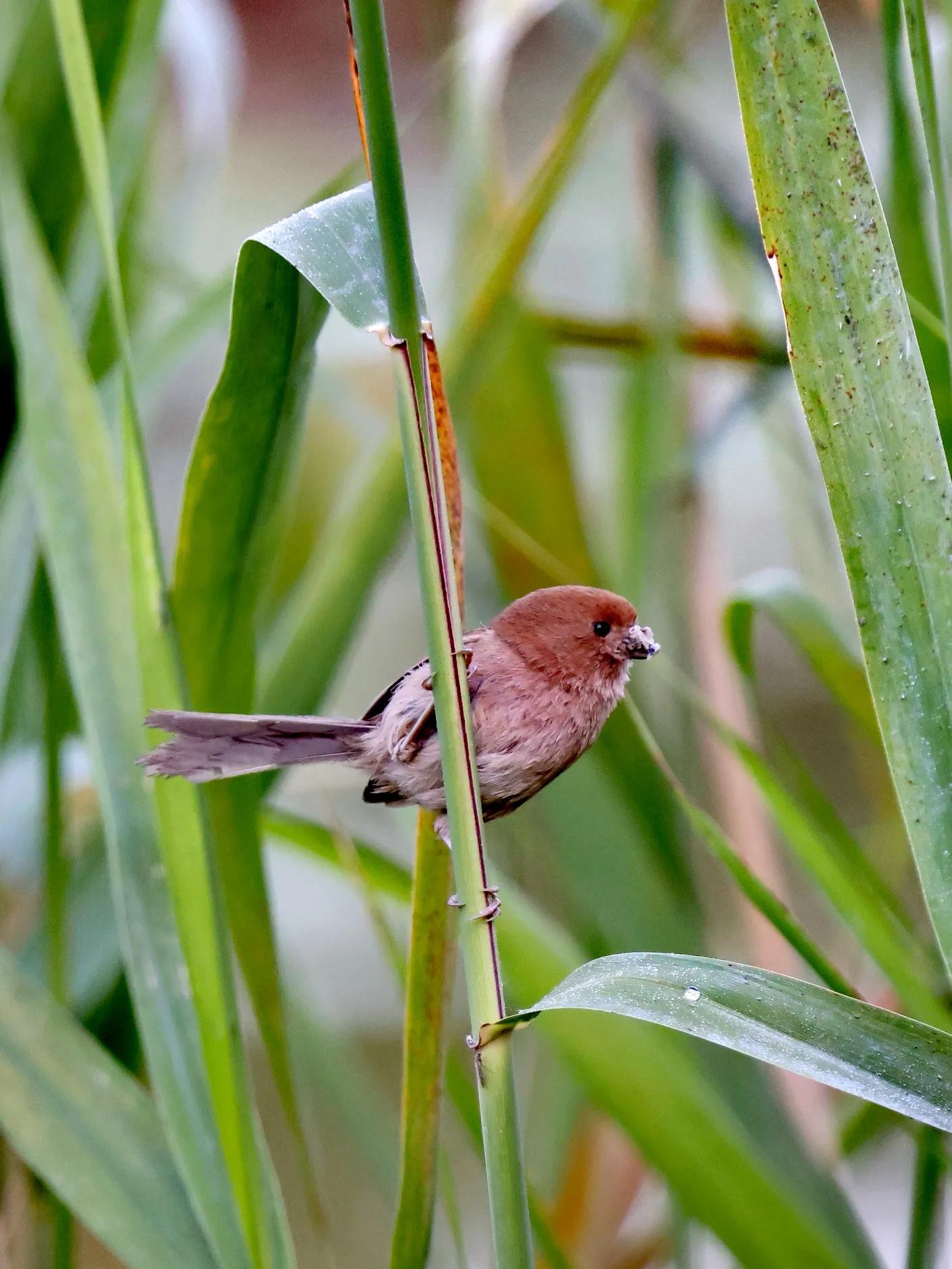 上海市嘉定区安亭国际汽车城,上海嘉定安亭国际汽车城