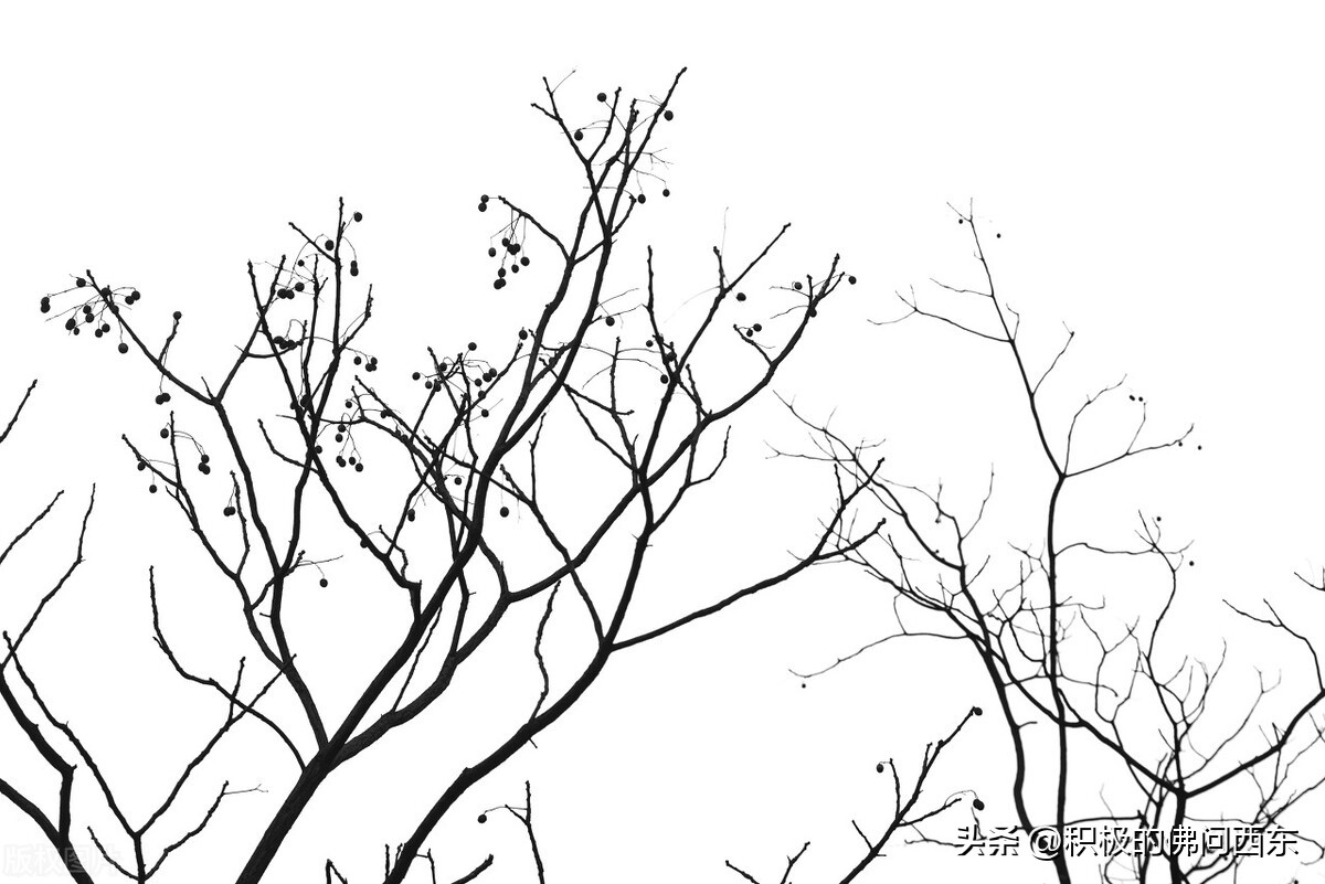 写小说取名素材大全集,第一章全是名字的小说