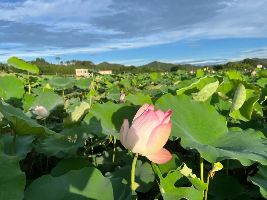 龙门旅游攻略自由行,惠州龙门三天游