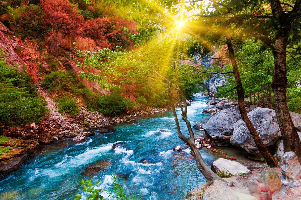 如何开一家茶馆,开一家茶馆的创业规划