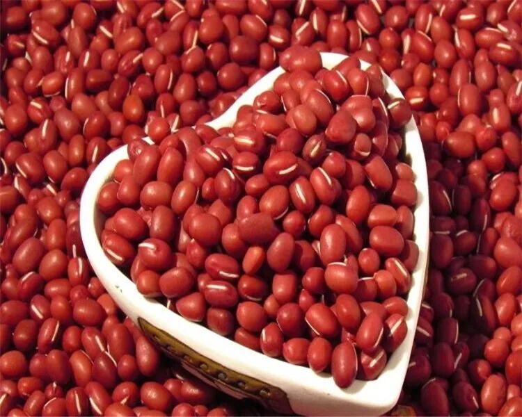 五谷杂粮食物图片大全大图,五谷杂粮图片大全大图真实