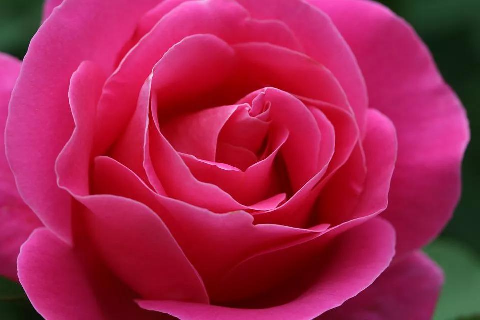 520适合发朋友圈的配图爱情,入目无别人四下皆是你英语