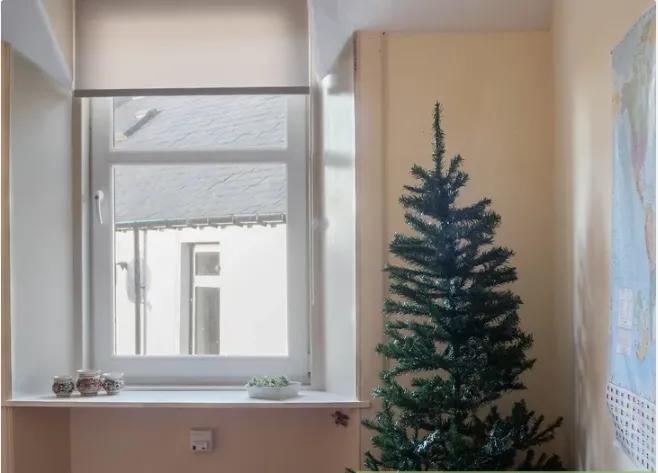 圣诞树小装饰钩织教程,怎么装饰圣诞树英文