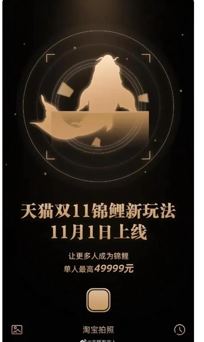 锦鲤女孩300万,锦鲤女孩一亿