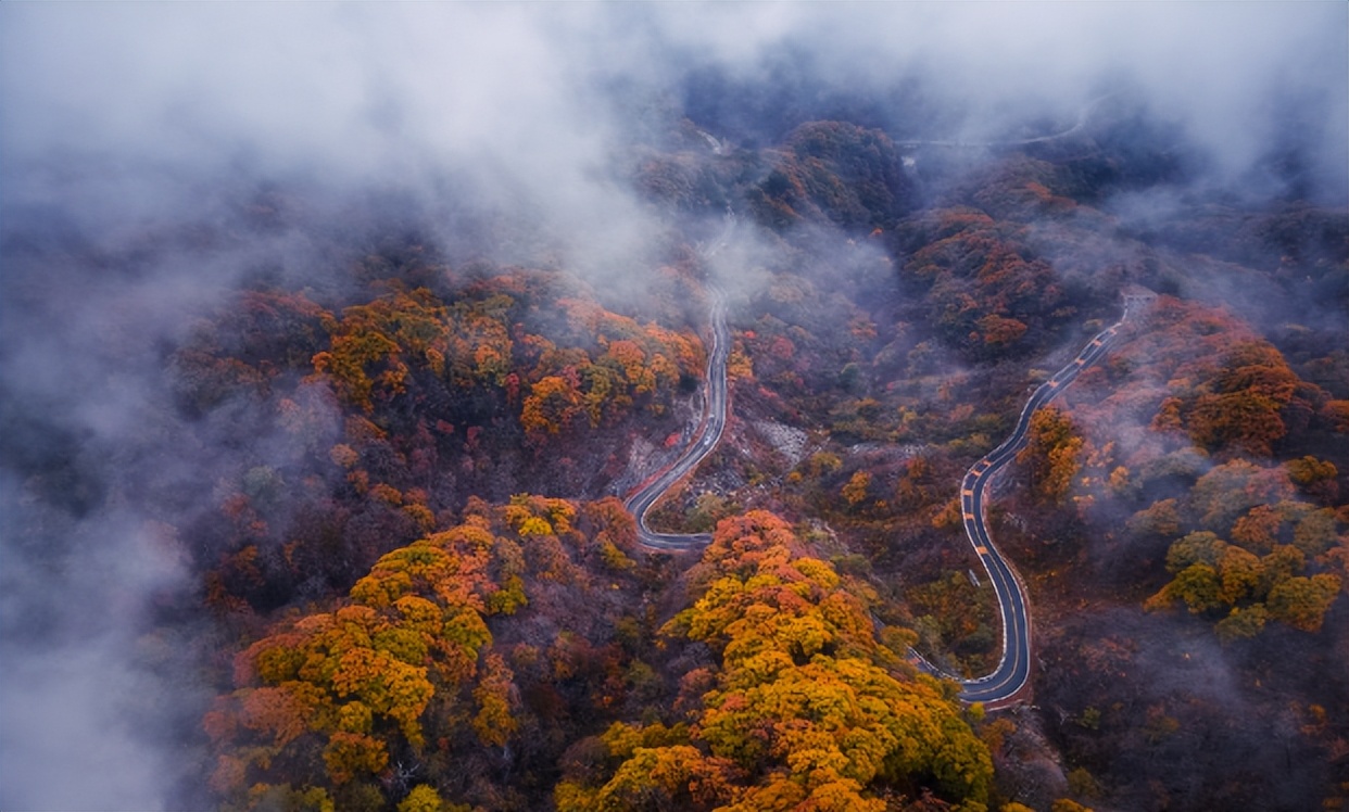 相约安徽·向春而行|六安招引天下客，推出“四季来金寨”营销举措