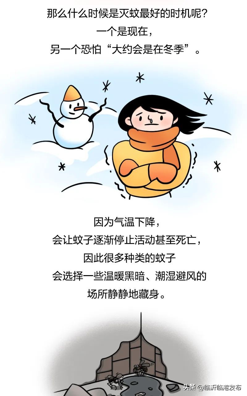 蚊子太毒怎么处理,彻底绝杀蚊子的妙招