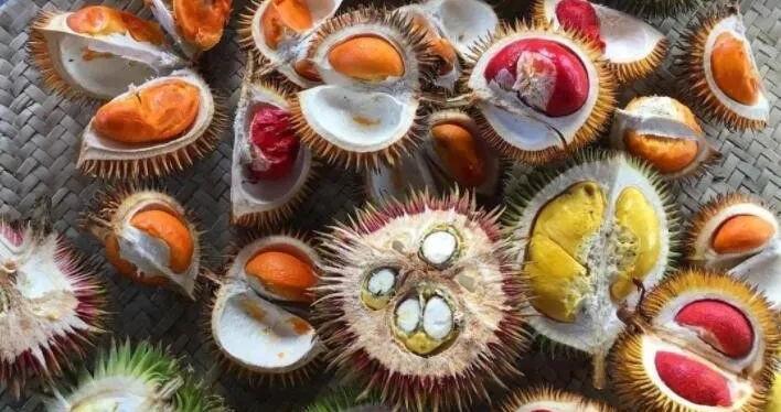 菲律宾希望扩大对中国的榴莲出口,中国与菲律宾榴莲贸易现状