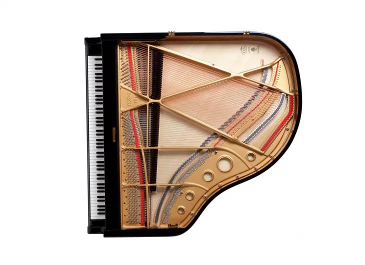 世界顶级钢琴品牌—FAZIOLI法奇奥里钢琴