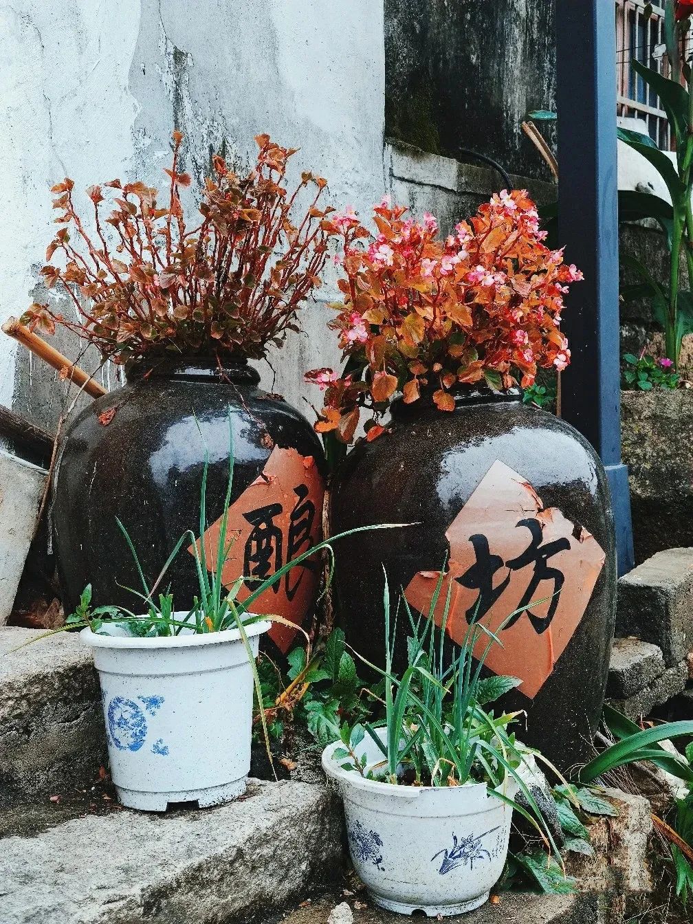 安徽值得一家人旅游的地方,安徽有哪些吸引人的地方