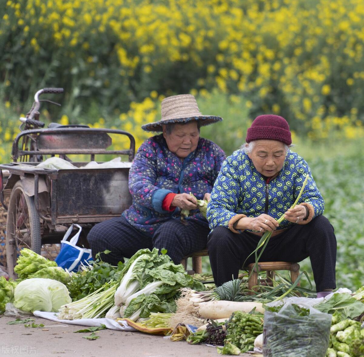 为什么大多数人活不过80岁,为什么好多人能活到80多岁