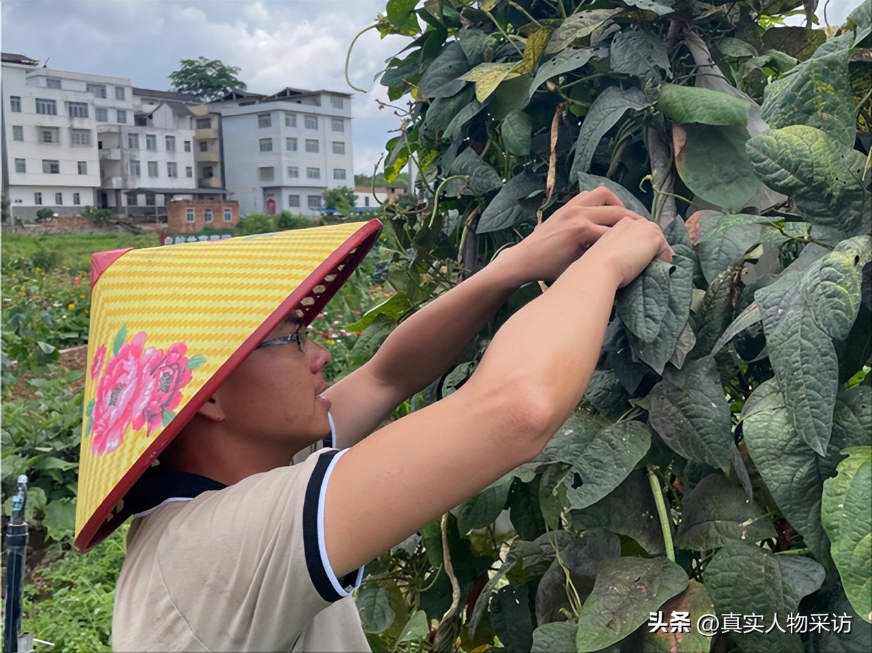 我90后,数控专业毕业,曾月入一两万,如今回村当农场主,很值得