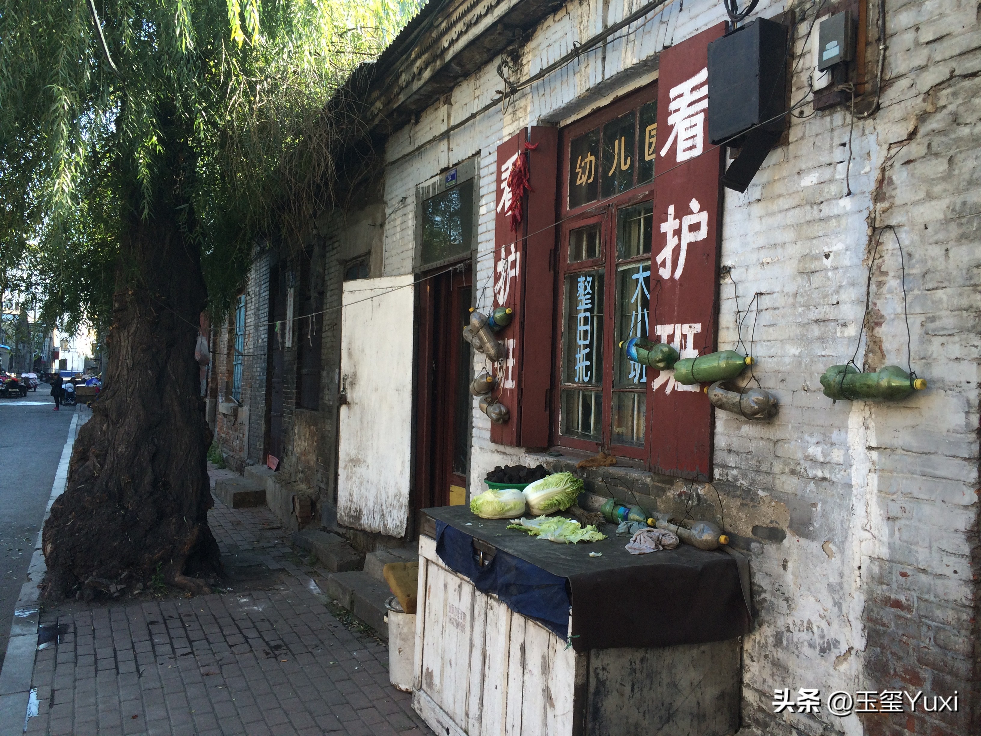 哈尔滨真实故事改编,哈尔滨往事是虚构的吗