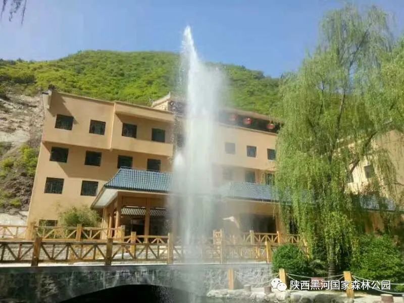 来森林公园放松一下心情,来黑河回归山林体验自然宁静之美