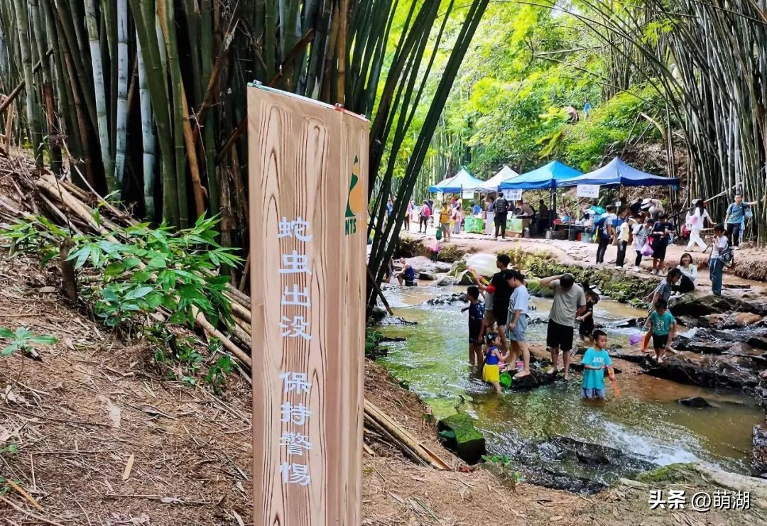 广州这个竹林溯溪胜地玩水,清凉避暑好去处山洞里一起来玩水