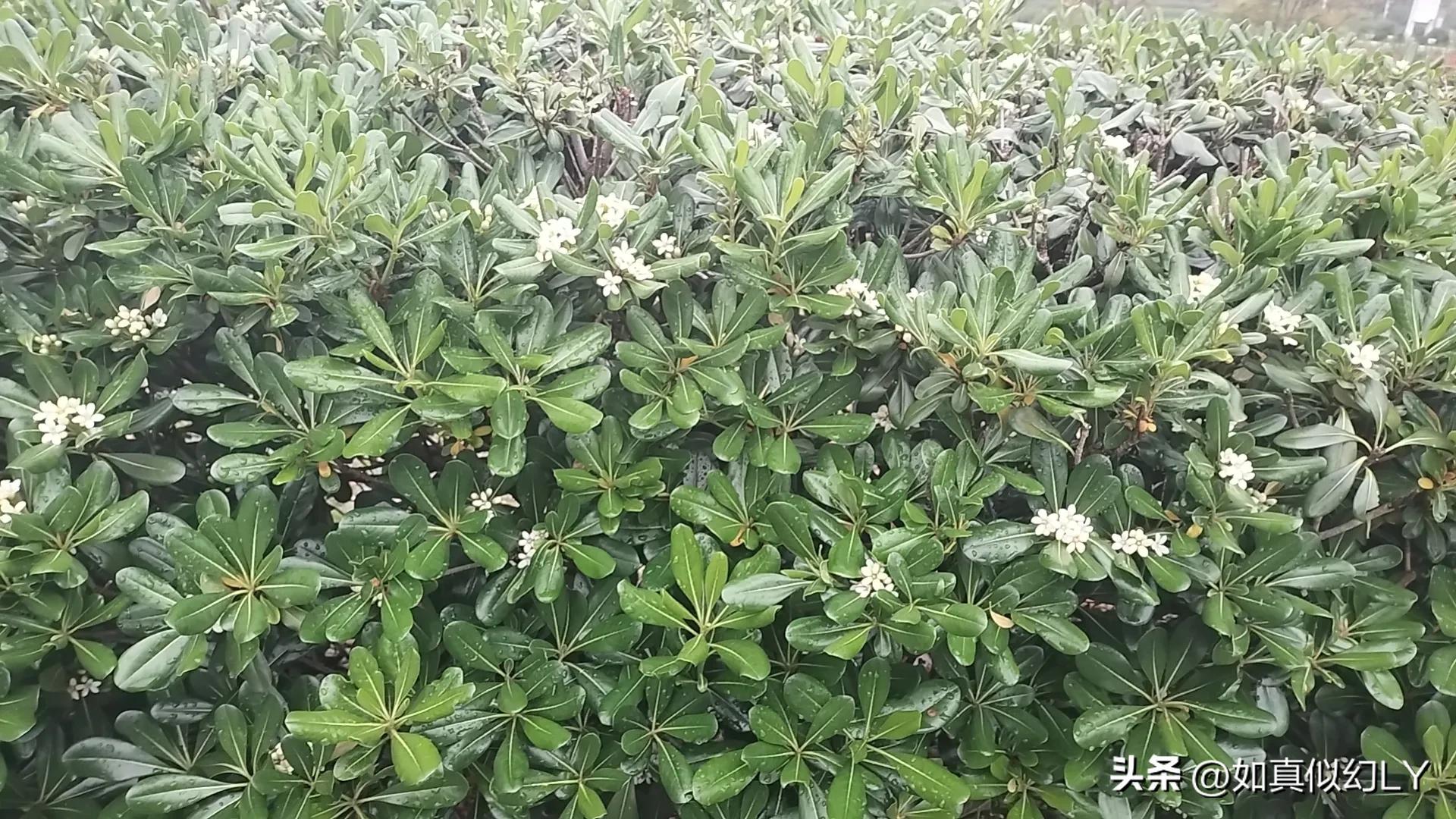 新手写五百万字的小说能挣多少钱,写小说投稿怎么能年入50万