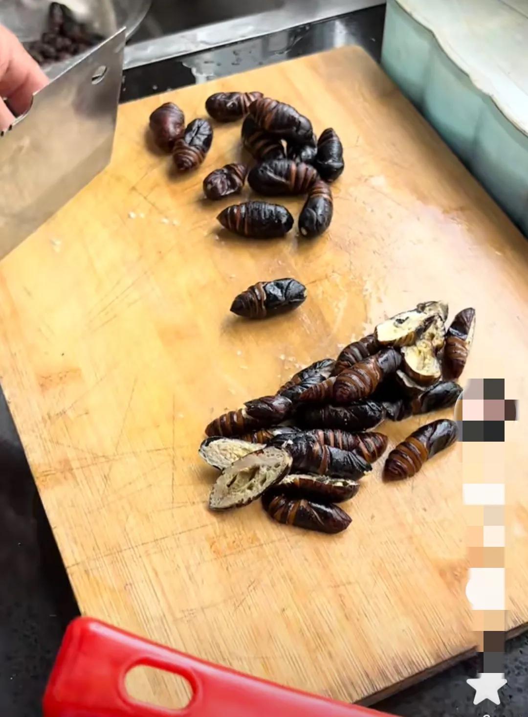 东北蚕蛾有没有营养,东北为什么没有蚕蛾