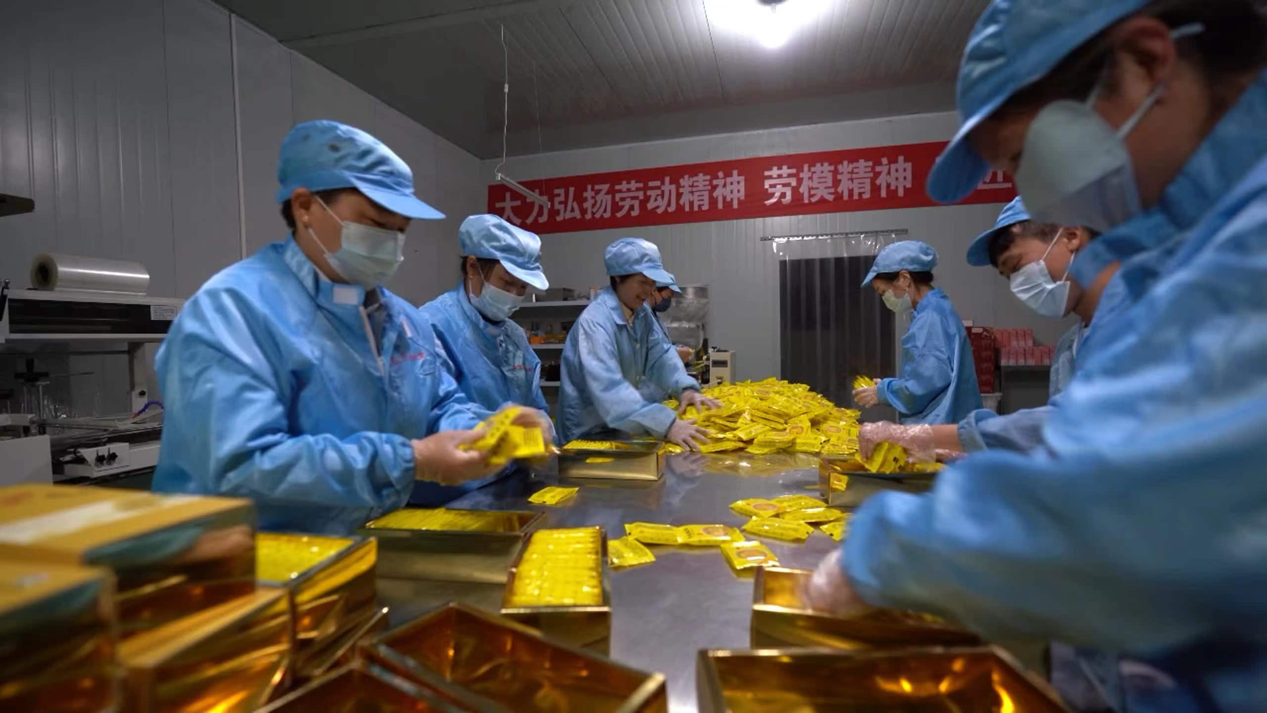 胡文华:发展中草药种植带领群众增收致富