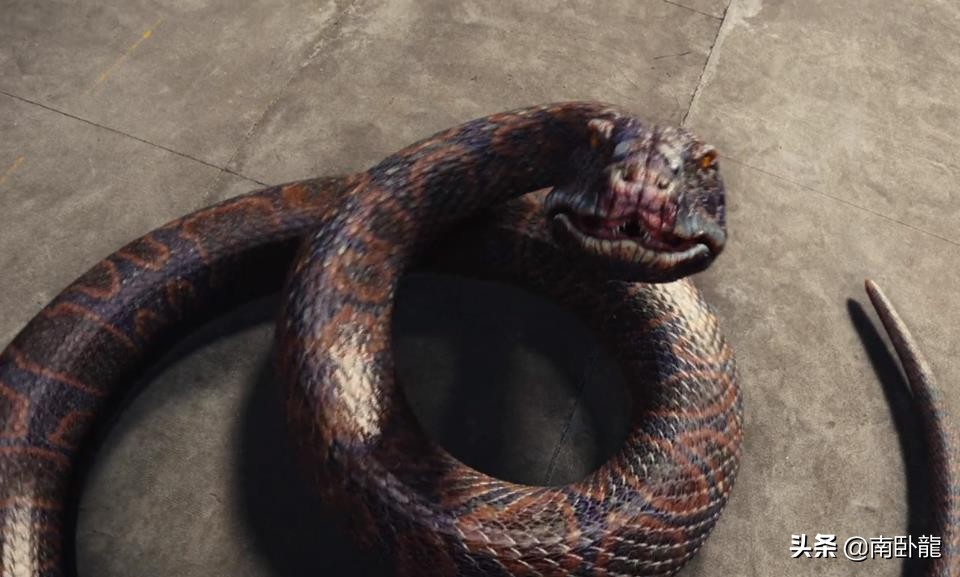 巨蛇闯女校现场拍摄花絮,巨蛇闯女校原声剪辑