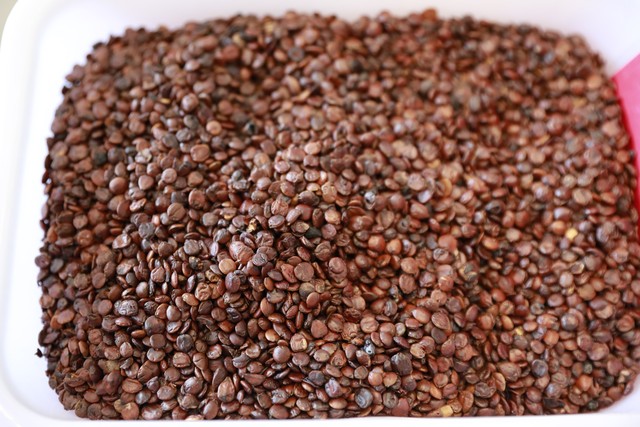 酸枣仁治失眠的食疗方,熬夜失眠常用的食疗方