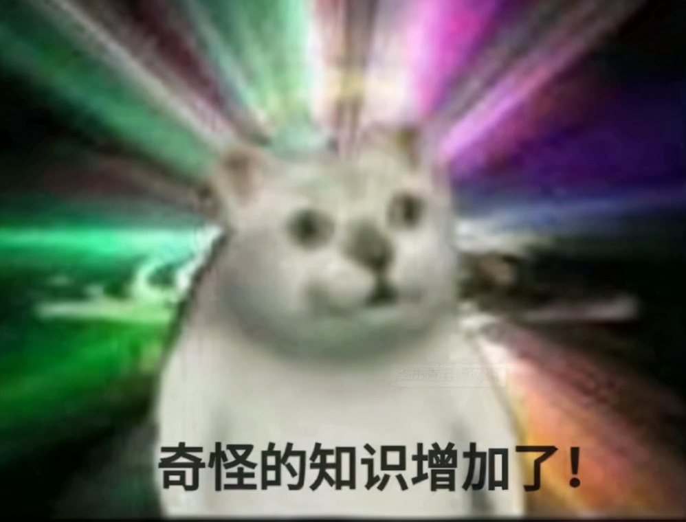 快乐大本营20年后,改版快乐大本营还是原先几个人吗